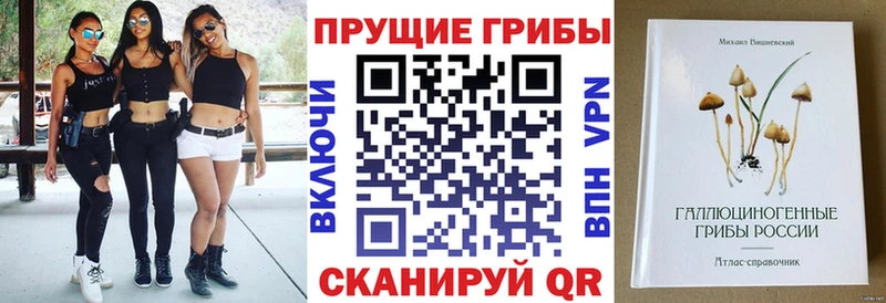 Псилоцибиновые грибы GOLDEN TEACHER  где найти   Магас 