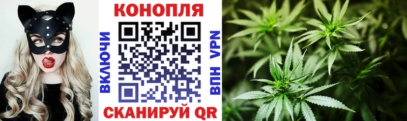 дарнет шоп  Магас  Конопля семена 